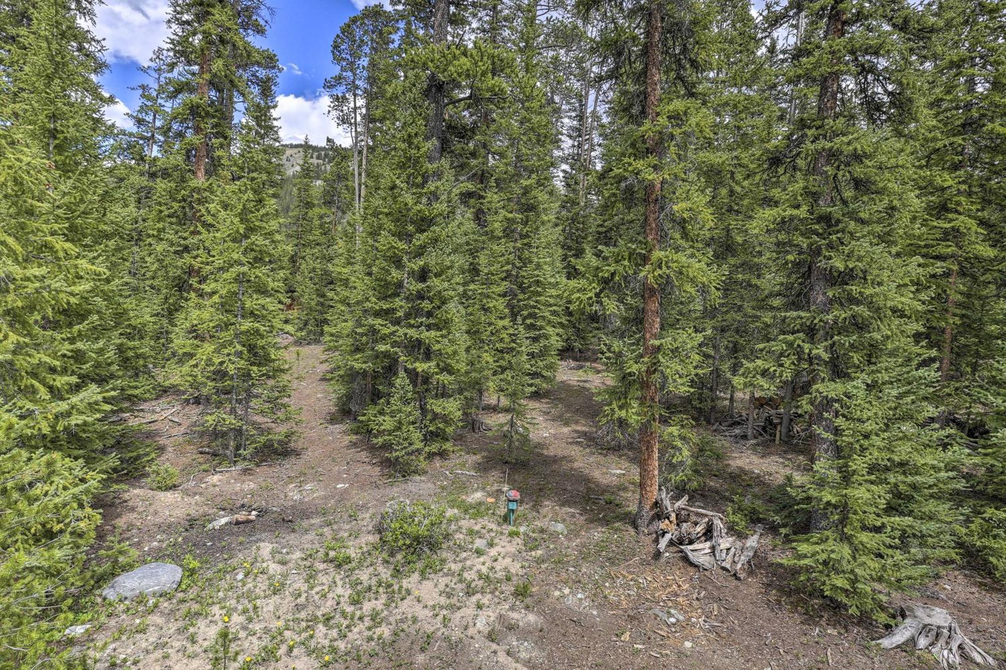 Cozy Breckenridge Cabin With Deck, 8 Mi To Gondola Exterior foto